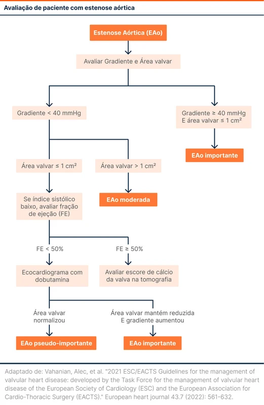 Avaliação de paciente com estenose aórtica