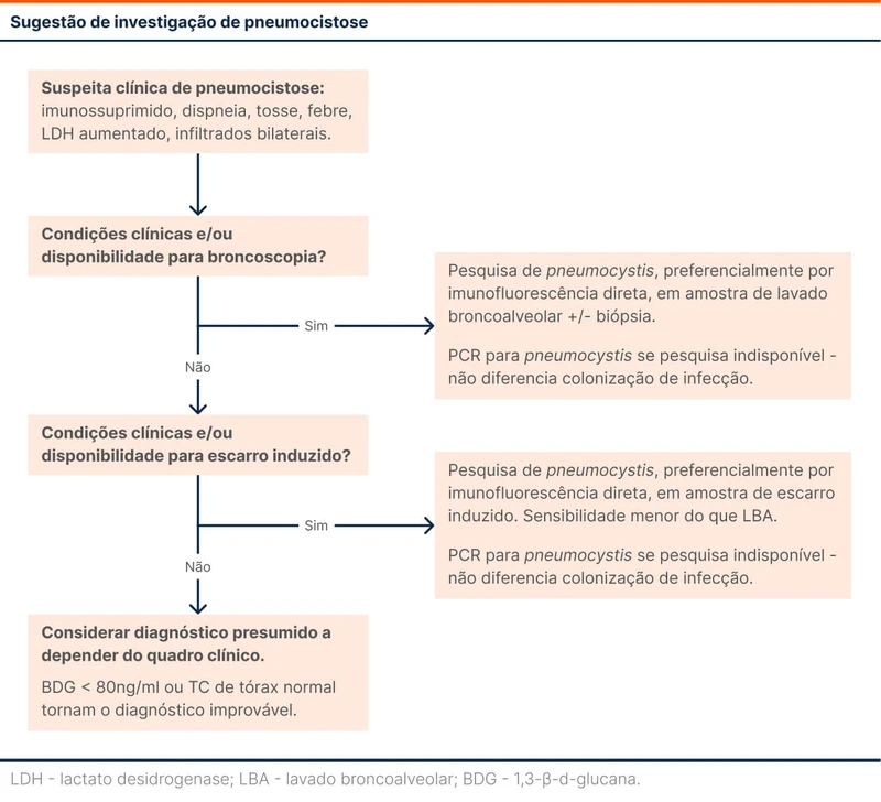 Sugestão de investigação de pneumocistose