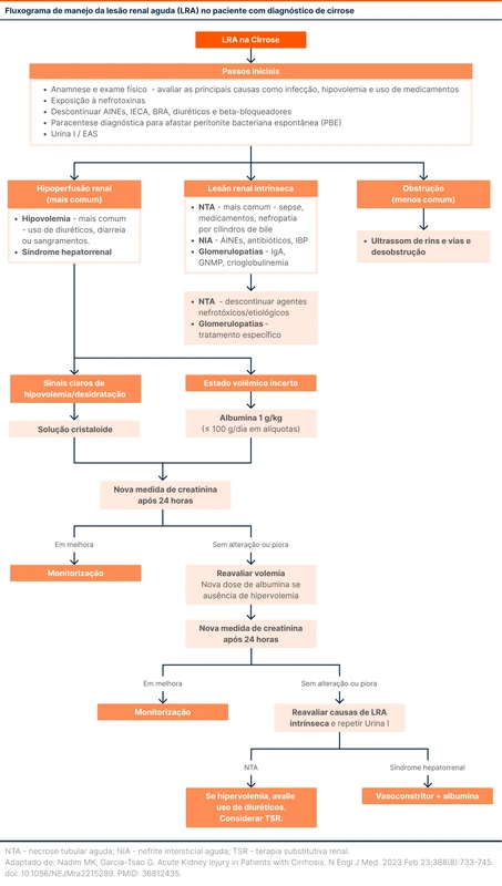 Fluxograma de manejo da lesão renal aguda (LRA) no paciente com diagnóstico de cirrose