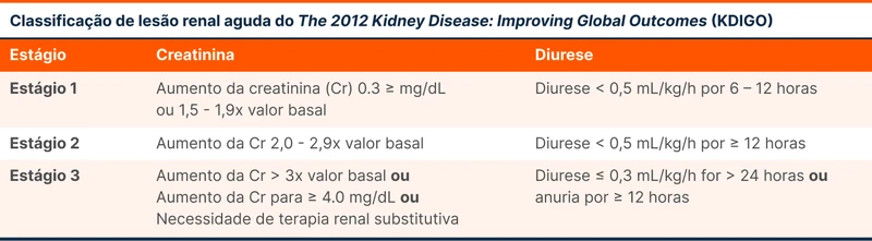 Classificação de lesão renal aguda do The 2012 Kidney Disease: Improving Global Outcomes (KDIGO)