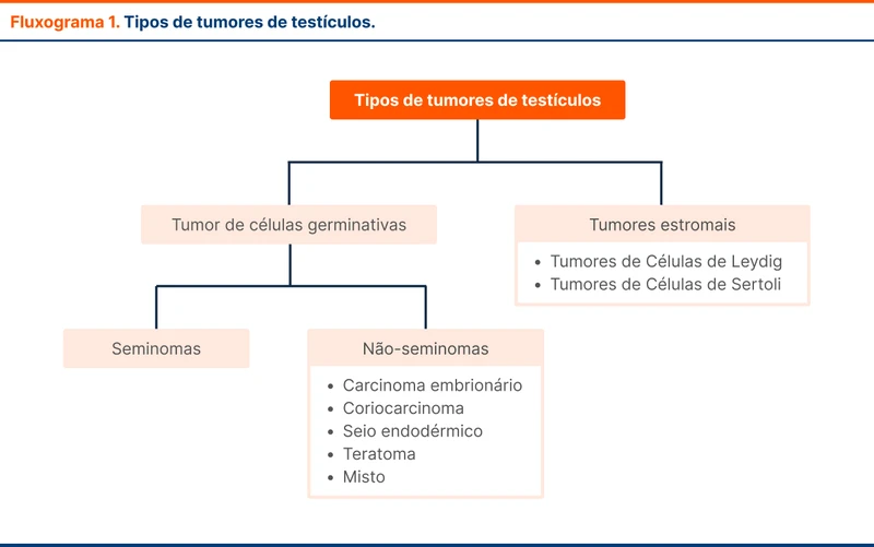 Tipos de tumores de testículos