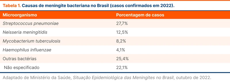 Causas de meningite bacteriana no Brasil (casos confirmados em 2022)