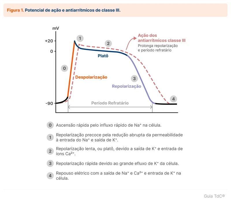 Potencial de ação e antiarrítmicos de classe III