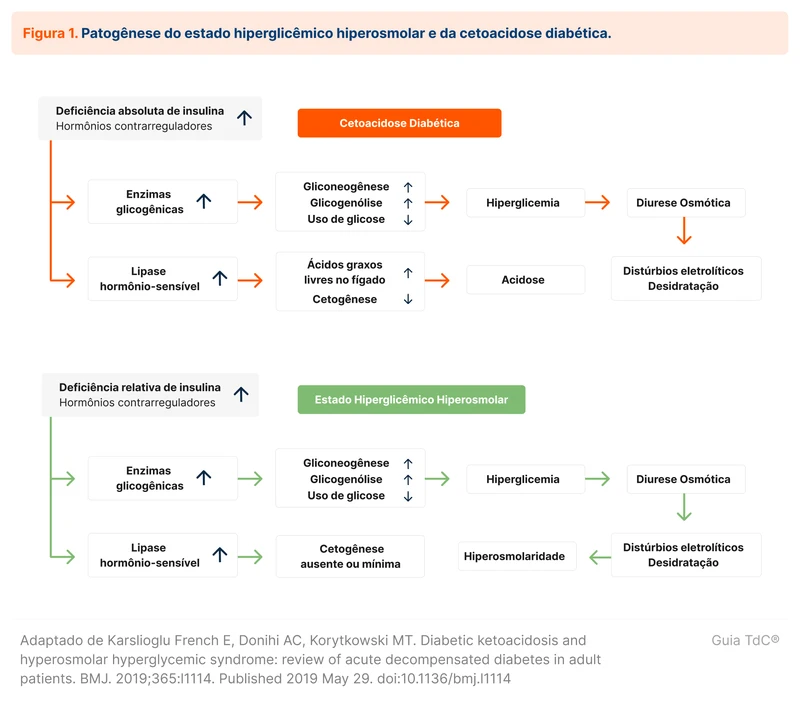 Patogênese do estado hiperglicêmico hiperosmolar e da cetoacidose diabética