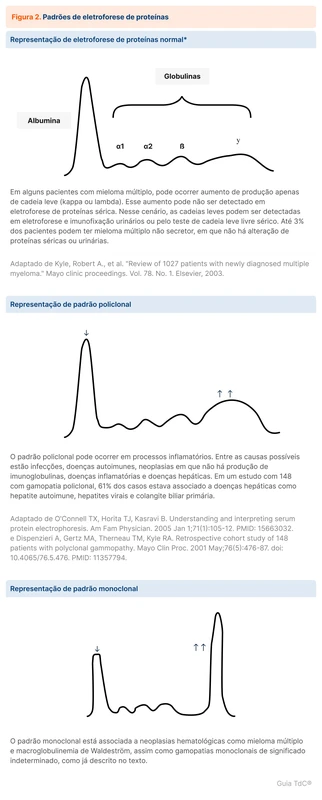 Padrões de eletroforese de proteínas