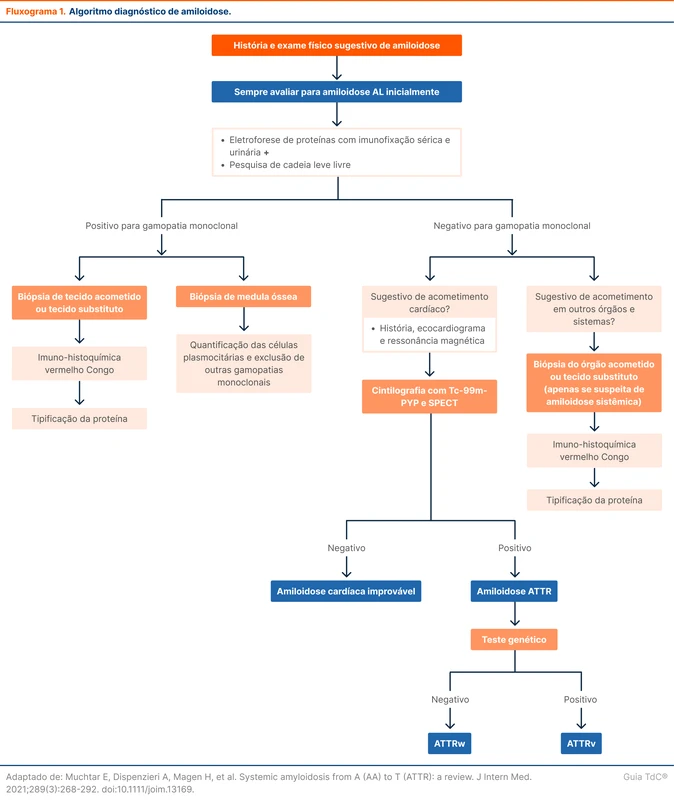 Algoritmo diagnóstico de amiloidose.