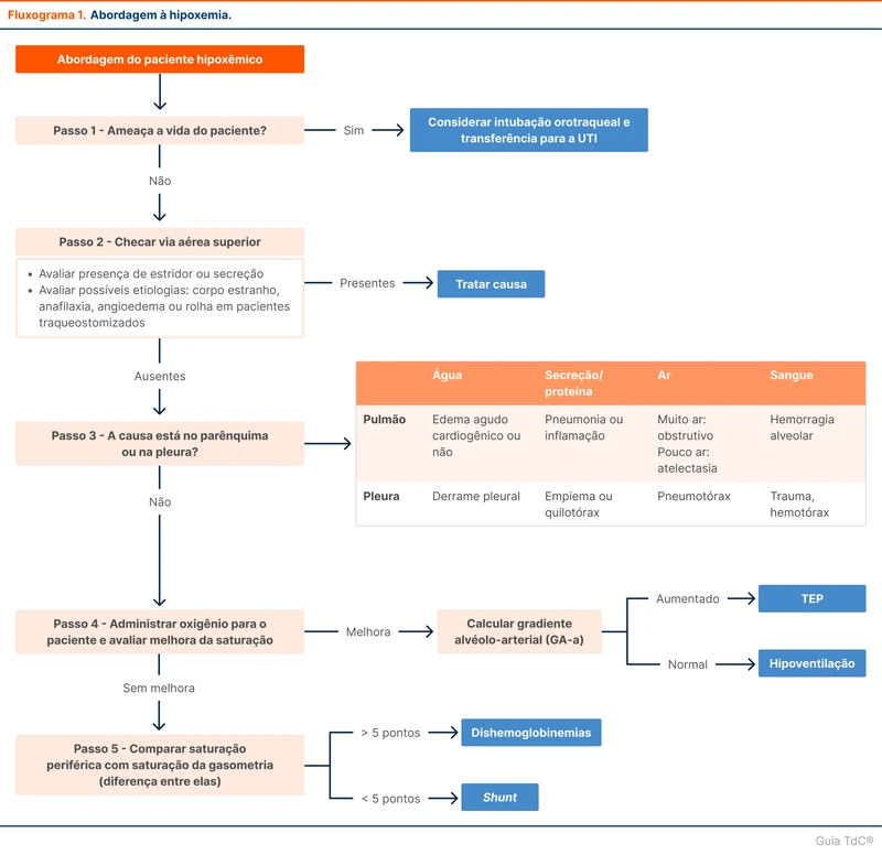 Abordagem à hipoxemia
