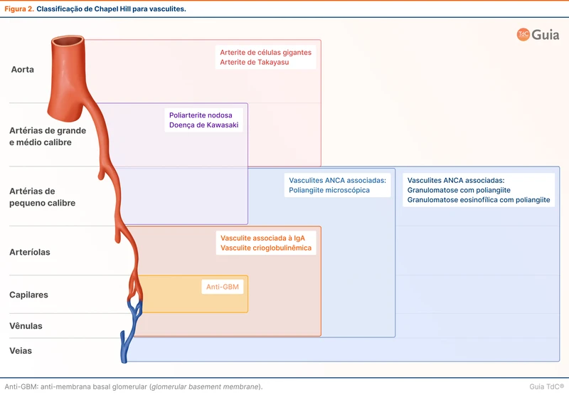 Classificação de Chapel Hill para vasculites