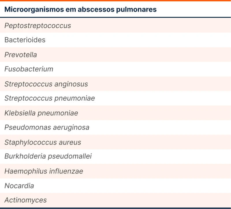 Microorganismos em abscessos pulmonares