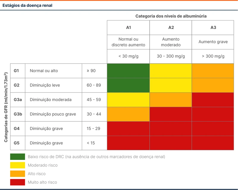 Estágios da doença renal