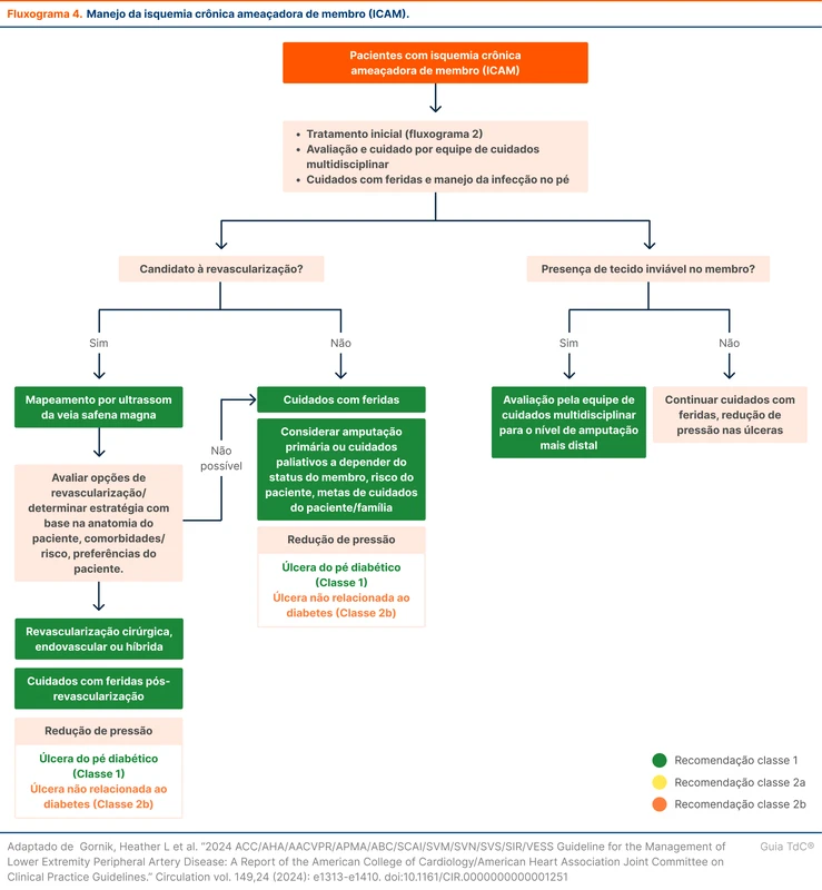 Manejo da isquemia crônica ameaçadora de membro (ICAM).