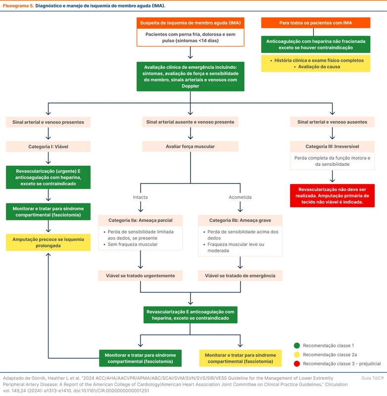 Diagnóstico e manejo de isquemia de membro aguda (IMA).