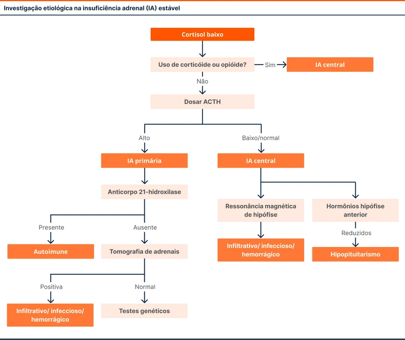 Investigação etiológica na insuficiência adrenal (IA) estável