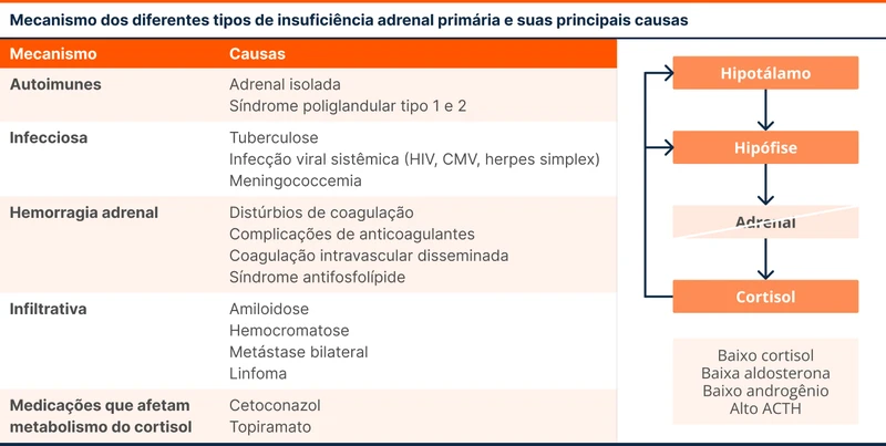 Mecanismo dos diferentes tipos de insuficiência adrenal primária e suas principais causas