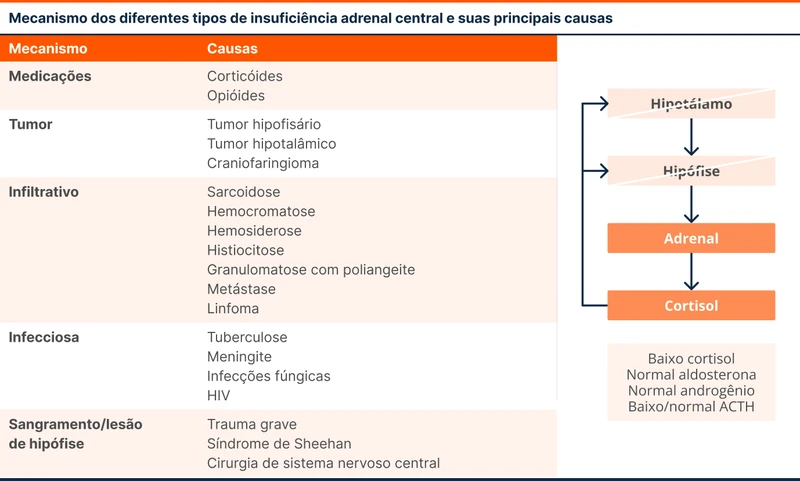 Mecanismo dos diferentes tipos de insuficiência adrenal central e suas principais causas