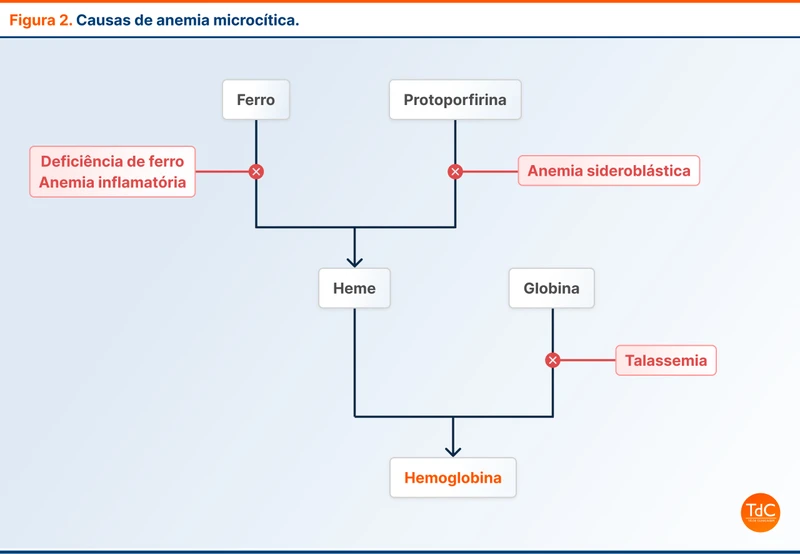 Causas de anemia microcítica