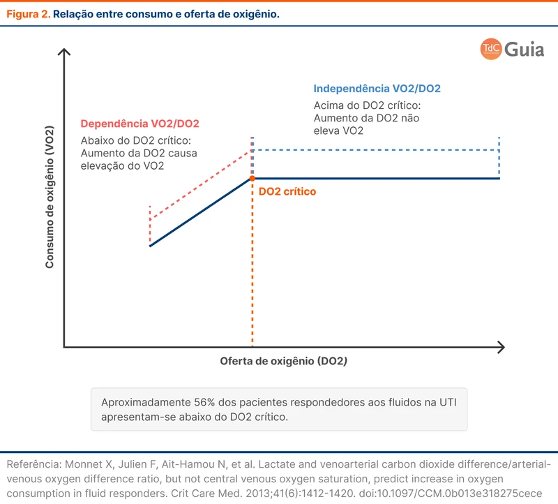 Relação entre consumo e oferta de oxigênio