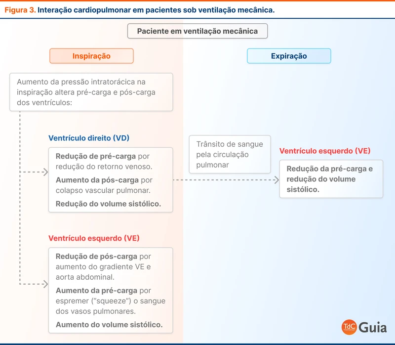 Interação cardiopulmonar em pacientes sob ventilação mecânica