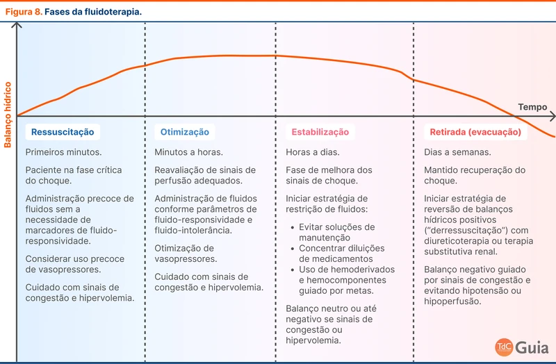 Fases da fluidoterapia