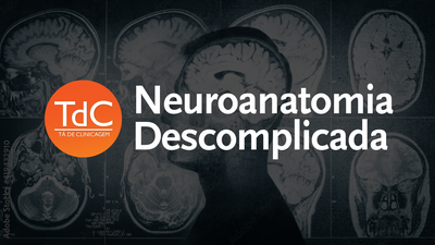 Neuroanatomia Descomplicada logo