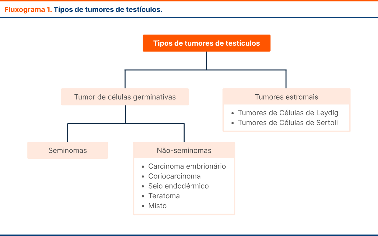 Tipos de tumores de testículos